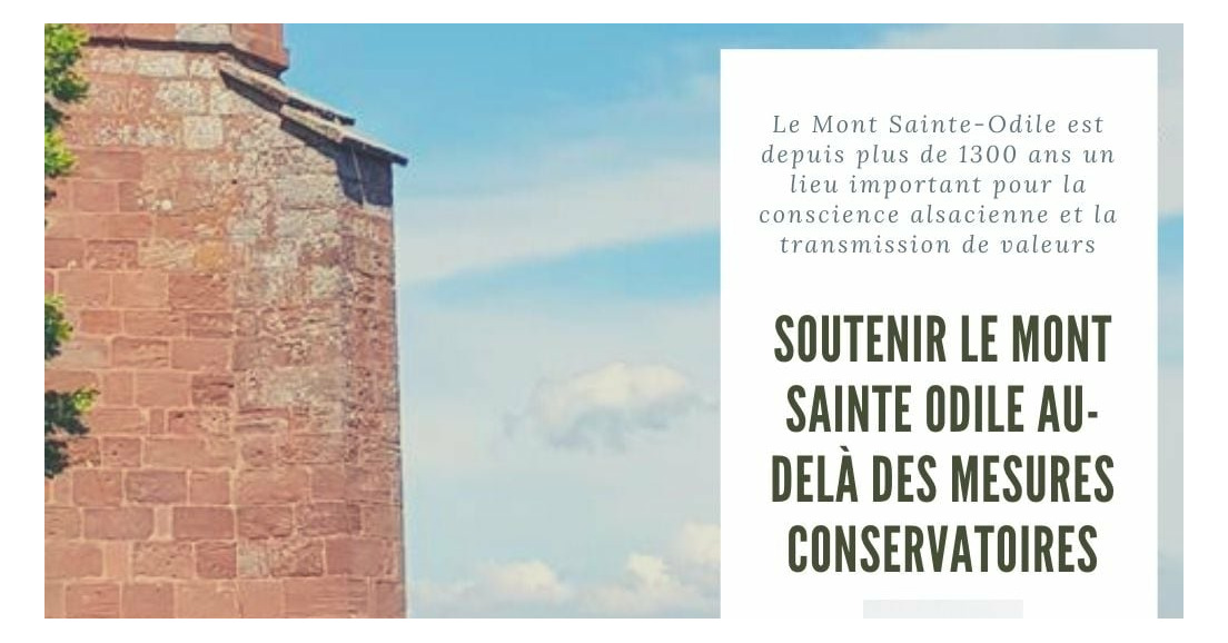 Interpellation de la CEA sur son rôle dans la sauvegarde du patrimoine