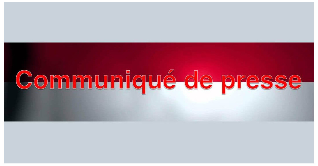 Une collectivité à statut particulier ou seulement un grand département ?