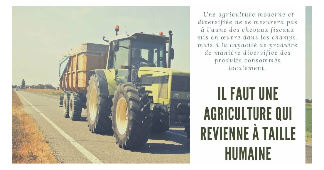 La production agricole à l’heure de la mondialisation.