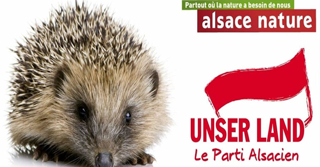 Unser Land dénonce la fragilisation des protecteurs de l’environnement