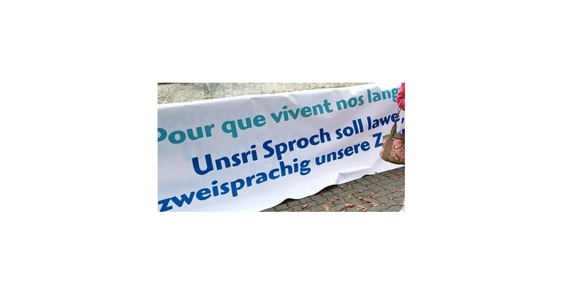 Le pittoresque ne fait que maintenir notre langue dans le blocage.