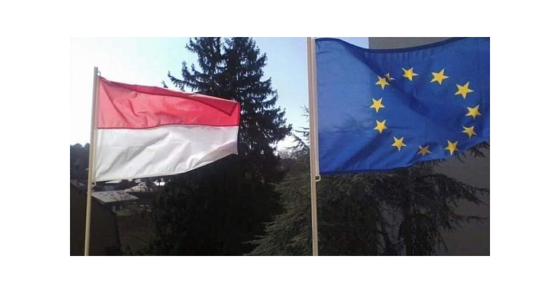 🇫🇷 AUJOURD'HUI JOURNÉE DU DRAPEAU EUROPÉEN !