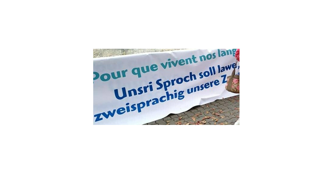 Le pittoresque ne fait que maintenir notre langue dans le blocage