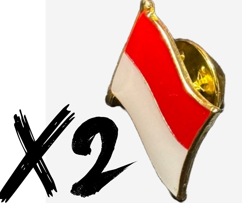 2 Pin's Rot un Wiss